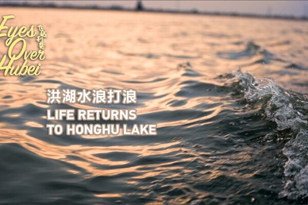 Life Returns to Honghu Lake: Locals Restore China’s 7th Largest Lake 🌊 Life_Returns_to_Honghu_Lake__Locals_Restore_China_s_7th_Largest_Lake__ video poster