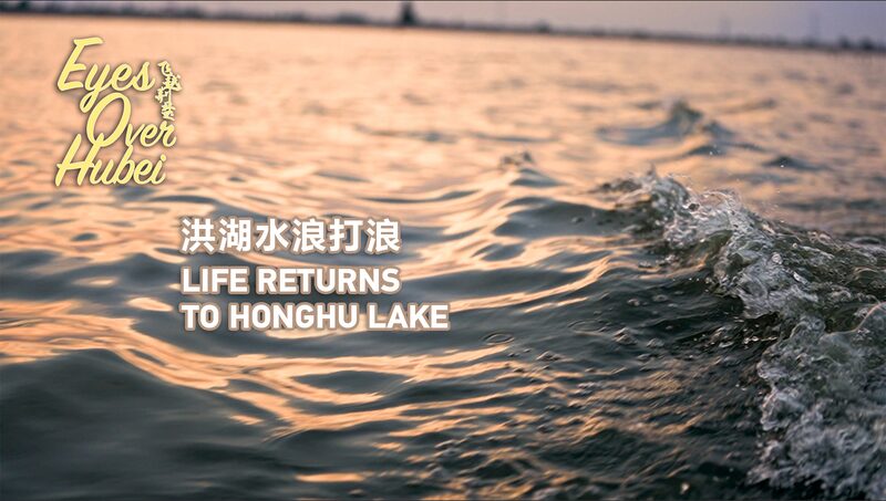 Life_Returns_to_Honghu_Lake__Locals_Restore_China_s_7th_Largest_Lake__ video poster