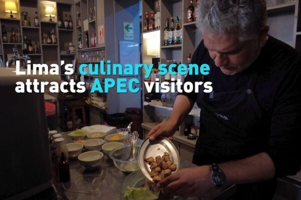 Lima’s Culinary Delights Wow APEC Visitors 🌮🍹 Lima_s_Culinary_Delights_Wow_APEC_Visitors___ video poster