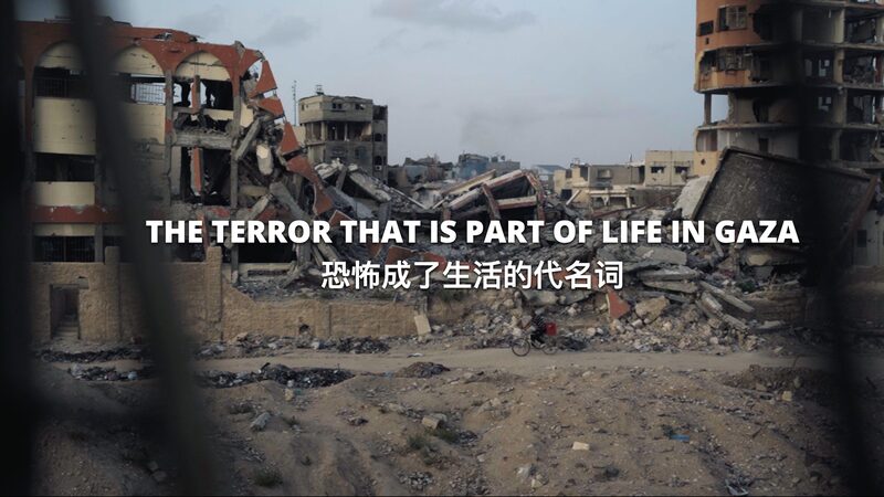 Living_Amid_Explosions__Gaza_s_Reality_Since_October_7 video poster