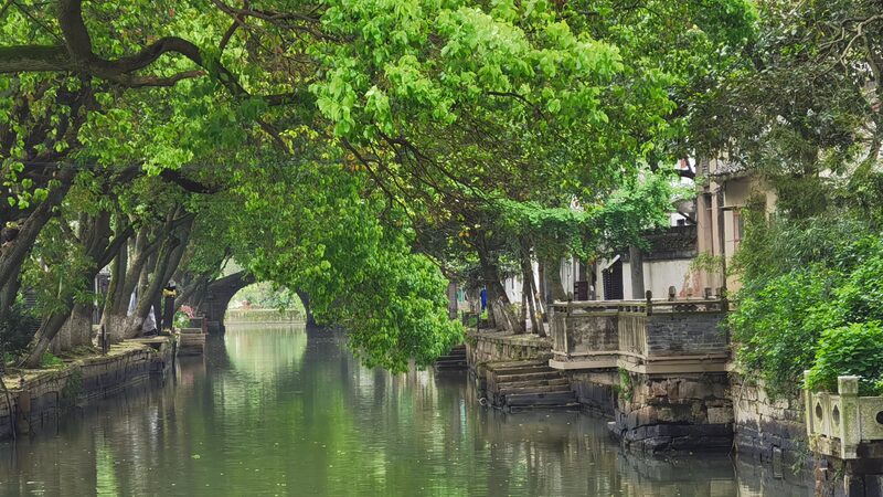 Living_History__Tongli_s_Timeless_Charm_Amid_Growing_Tourism - News for amigos, by amigos Living_History__Tongli_s_Timeless_Charm_Amid_Growing_Tourism