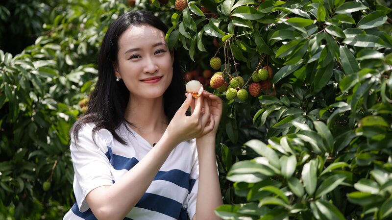 Lychee_Love__Guangzhou_Farmers_Go_Live_with_5G_Tech___ video poster