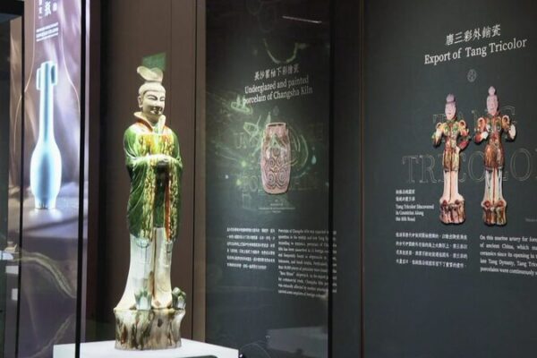 Macao_Unveiled__From_Maritime_Marvels_to_Sky_High_Adventures