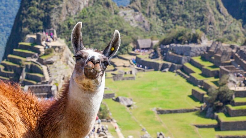 Machu_Picchu__Exploring_the_Lost_City_of_the_Incas__ - News for amigos, by amigos Machu_Picchu__Exploring_the_Lost_City_of_the_Incas__