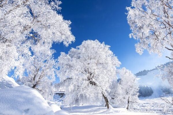 Majestic Winter Scenes Unveiled as Major Snow Arrives in China 🌨️❄️ Majestic_Winter_Scenes_Unveiled_as_Major_Snow_Arrives_in_China_____