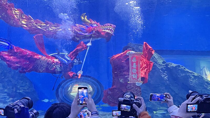 Making_Waves__Wuhan_s_Underwater_Dragon_Dance_Dazzles_Visitors