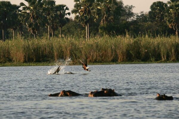 Malawi Shines in Biodiversity Conservation, Says UN Official Malawi_Shines_in_Biodiversity_Conservation__Says_UN_Official