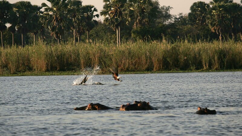 Malawi_Shines_in_Biodiversity_Conservation__Says_UN_Official - News for amigos, by amigos Malawi_Shines_in_Biodiversity_Conservation__Says_UN_Official