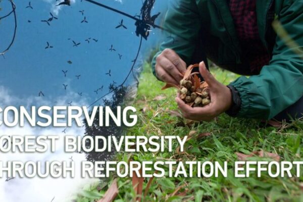 Malaysia Unites to Save Forest Biodiversity Through Reforestation Efforts 🌳 Malaysia_Unites_to_Save_Forest_Biodiversity_Through_Reforestation_Efforts__ video poster