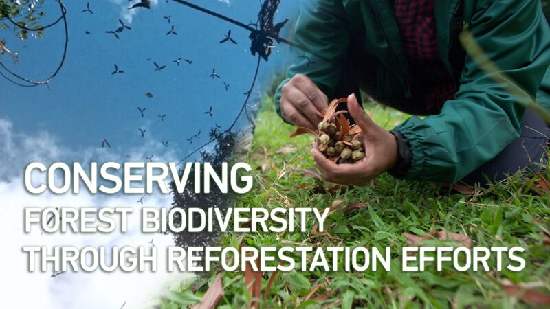 Malaysia_Unites_to_Save_Forest_Biodiversity_Through_Reforestation_Efforts__ video poster