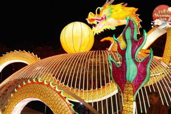 Malaysia’s Mesmerizing Lantern Festival Lights Up Chinese New Year 🌟 Malaysia_s_Mesmerizing_Lantern_Festival_Lights_Up_Chinese_New_Year__ video poster