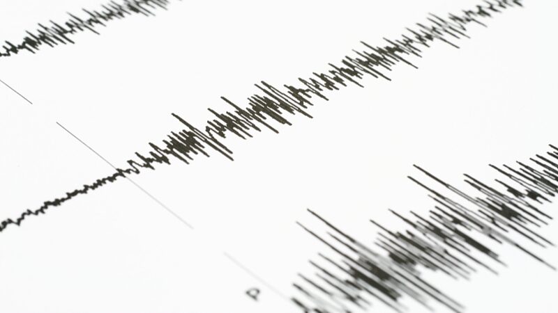 Massive_7_4_Earthquake_Strikes_Near_Japan_s_Honshu_Coast___poster - News for amigos, by amigos Massive_7_4_Earthquake_Strikes_Near_Japan_s_Honshu_Coast__ video poster