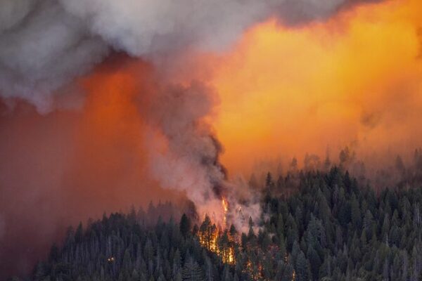 __Massive_Park_Fire_Devastates_Northern_California__Thousands_Evacuated