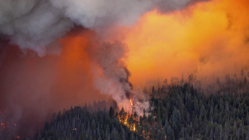 Massive_Park_Fire_Devastates_Northern_California__Thousands_Evacuated - News for amigos, by amigos __Massive_Park_Fire_Devastates_Northern_California__Thousands_Evacuated
