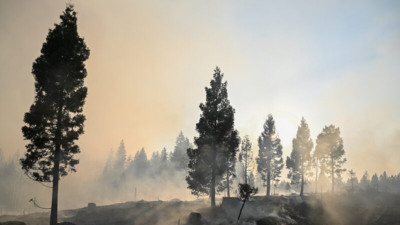 Massive_Wildfires_Blaze_Across_Western_U_S__as_Heat_and_Storms_Approach__ - News for amigos, by amigos Massive_Wildfires_Blaze_Across_Western_U_S__as_Heat_and_Storms_Approach__