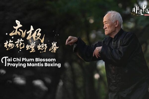 Master Sun Delong: 70 Years of Kung Fu Legacy in Tai Chi Plum Blossom Praying Mantis Boxing Master_Sun_Delong__70_Years_of_Kung_Fu_Legacy_in_Tai_Chi_Plum_Blossom_Praying_Mantis_Boxing video poster