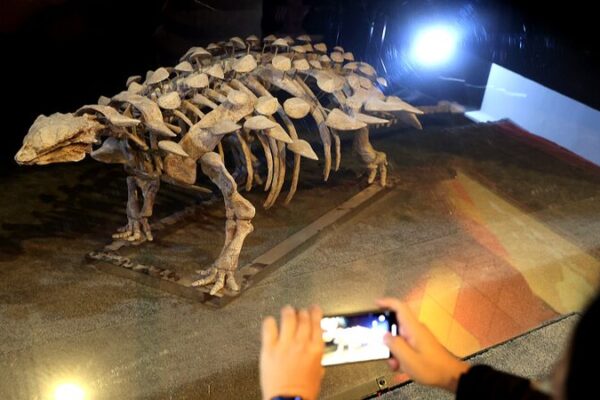 🦕 Meet Datai yingliangis: New Armored Dino Discovered in East China __Meet_Datai_yingliangis__New_Armored_Dino_Discovered_in_East_China