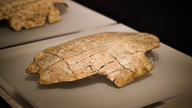 Meet_Si_Shengsheng__Oracle_Bone_Mascot_for_2025_Year_of_the_Snake__ - News for amigos, by amigos Meet_Si_Shengsheng__Oracle_Bone_Mascot_for_2025_Year_of_the_Snake__