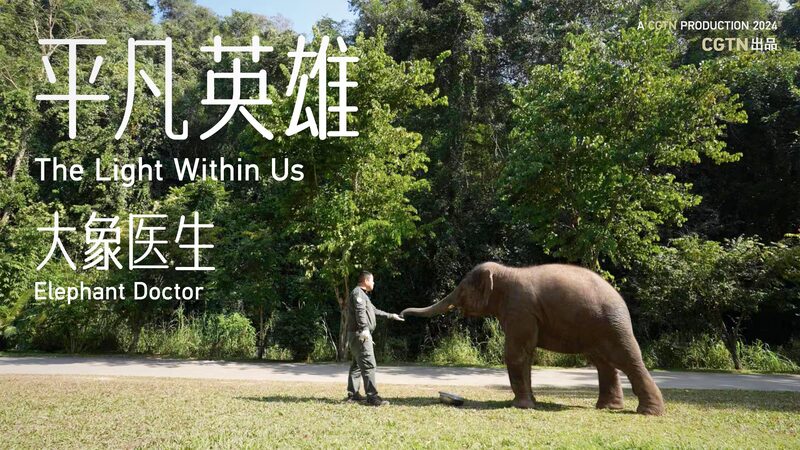 Meet_the_Elephant_Doctor__Saving_Giants_in_Yunnan_s_Rainforest_poster - News for amigos, by amigos Meet_the_Elephant_Doctor__Saving_Giants_in_Yunnan_s_Rainforest video poster