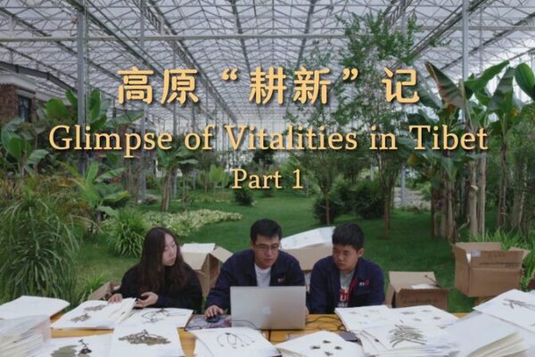Meet the Young Guardians Reviving Tibet’s Grasslands 🌱 Meet_the_Young_Guardians_Reviving_Tibet_s_Grasslands__ video poster