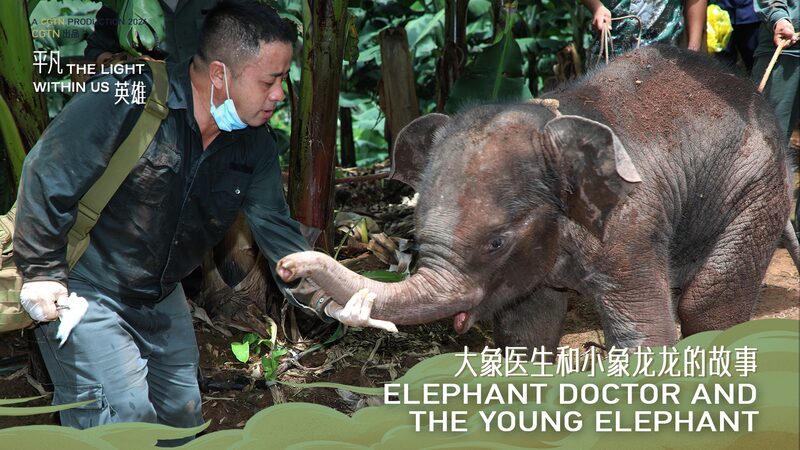 Meet_the__Elephant_Doctor___How_Bao_Mingwei_Saved_Baby_Elephant_Longlong___poster - News for amigos, by amigos Meet_the__Elephant_Doctor___How_Bao_Mingwei_Saved_Baby_Elephant_Longlong__ video poster