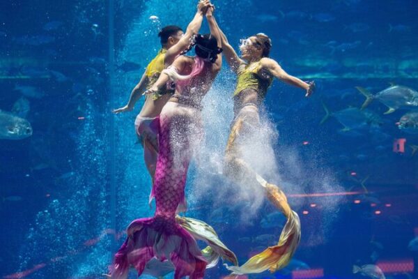 Mermaids Come Alive in Sanya’s Magical Dance-Off 🧜♀️✨ Mermaids_Come_Alive_in_Sanya_s_Magical_Dance_Off______ video poster