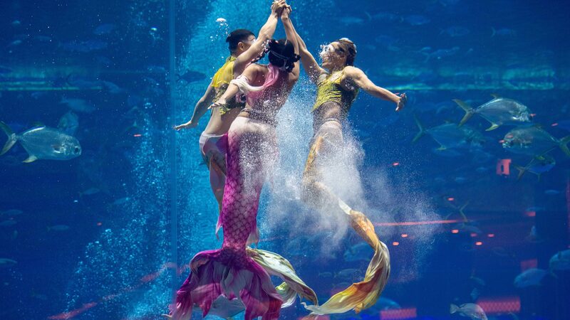 Mermaids_Come_Alive_in_Sanya_s_Magical_Dance_Off_______poster - News for amigos, by amigos Mermaids_Come_Alive_in_Sanya_s_Magical_Dance_Off______ video poster