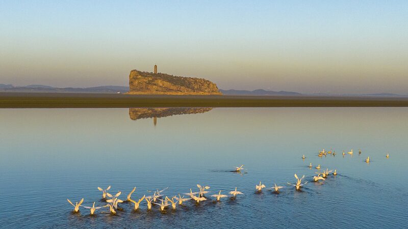 Mesmerizing_Bird_Waves_Dazzle_Over_China_s_Poyang_Lake_poster - News for amigos, by amigos Mesmerizing_Bird_Waves_Dazzle_Over_China_s_Poyang_Lake video poster