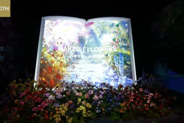 Mesmerizing Light Show in Beijing Celebrates 25 Years of Macao’s Return to China 🌸💡 Mesmerizing_Light_Show_in_Beijing_Celebrates_25_Years_of_Macao_s_Return_to_China___ video poster