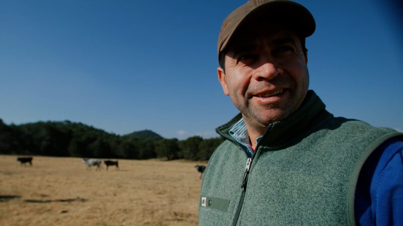 Mexican_Rancher_Sergio_Hernandez__Preserving_the_Art_of_Bullfighting____poster - News for amigos, by amigos Mexican_Rancher_Sergio_Hernandez__Preserving_the_Art_of_Bullfighting___ video poster