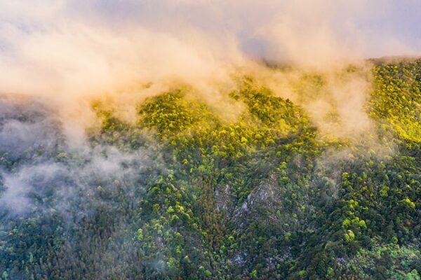 Mingxi County: China’s Hidden Avian Paradise Awaits! 🐦 Mingxi_County__China_s_Hidden_Avian_Paradise_Awaits___ video poster