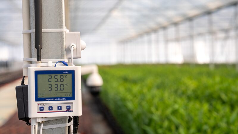 __Modern_Farming_Fuels_China_s_Rural_Revival__