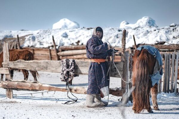 Mongolia’s Herders Face Crisis as Dzud Kills Over 7 Million Livestock 🐑❄️ Mongolia_s_Herders_Face_Crisis_as_Dzud_Kills_Over_7_Million_Livestock____