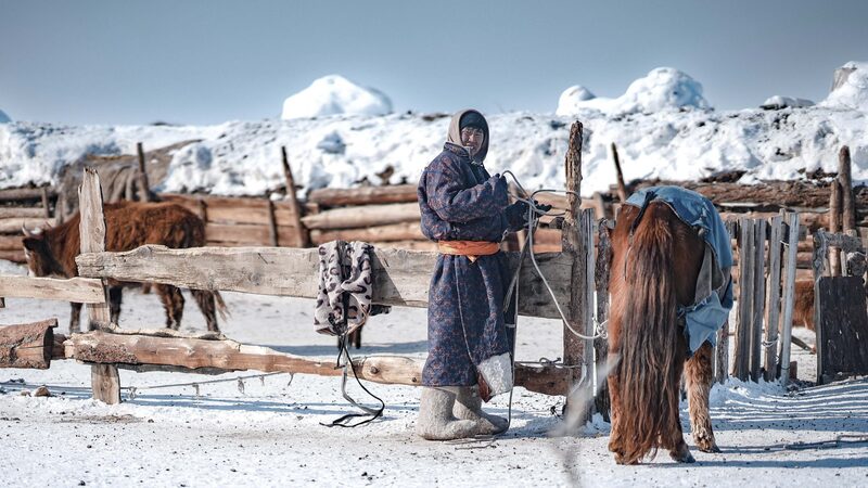 Mongolia_s_Herders_Face_Crisis_as_Dzud_Kills_Over_7_Million_Livestock____ - News for amigos, by amigos Mongolia_s_Herders_Face_Crisis_as_Dzud_Kills_Over_7_Million_Livestock____