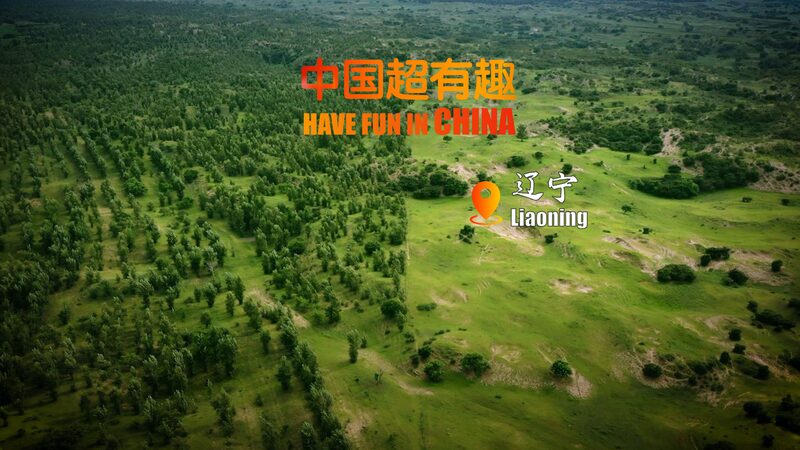 Mongolian_Scotch_Pine__The_Unsung_Hero_Fighting_Desertification_in_China_s_North_poster - News for amigos, by amigos Mongolian_Scotch_Pine__The_Unsung_Hero_Fighting_Desertification_in_China_s_North video poster