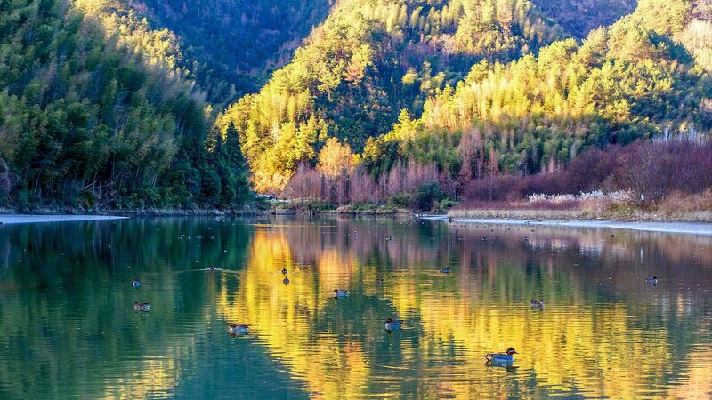 Morning_Magic__Misty_Yushui_River_Brings_Liren_Village_to_Life video poster