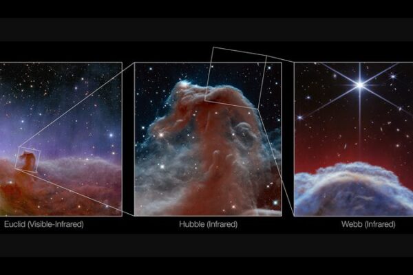 NASA’s Webb Telescope Unveils Stunning New Horsehead Nebula Images 🌌 NASA_s_Webb_Telescope_Unveils_Stunning_New_Horsehead_Nebula_Images__
