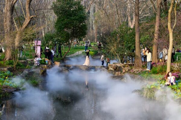 Nanjing’s Zhongshan Botanical Garden Transforms into a Fairy Tale Wonderland Nanjing_s_Zhongshan_Botanical_Garden_Transforms_into_a_Fairy_Tale_Wonderland