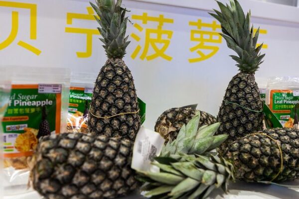 Nature’s Gifts from Africa Shine at the 7th China International Import Expo Nature_s_Gifts_from_Africa_Shine_at_the_7th_China_International_Import_Expo