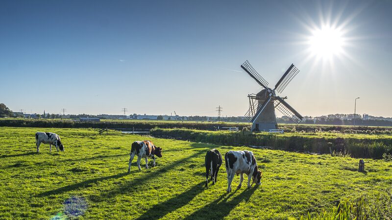 Netherlands_and_China_Join_Forces_for_Sustainable_Farming___ - News for amigos, by amigos Netherlands_and_China_Join_Forces_for_Sustainable_Farming___
