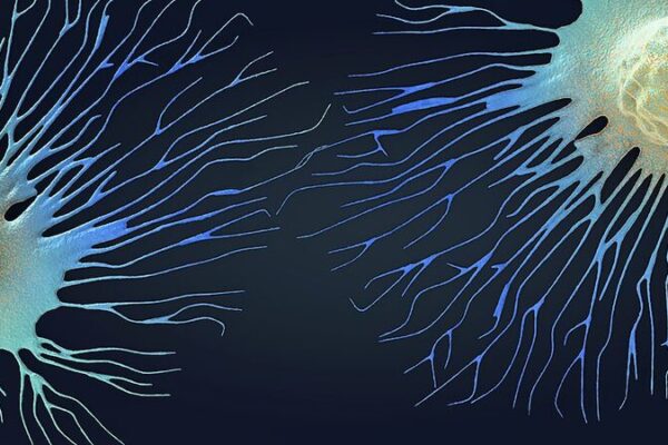 New Antibody Treatment Empowers Immune System to Fight Cancer 🦸♂️ New_Antibody_Treatment_Empowers_Immune_System_to_Fight_Cancer_____