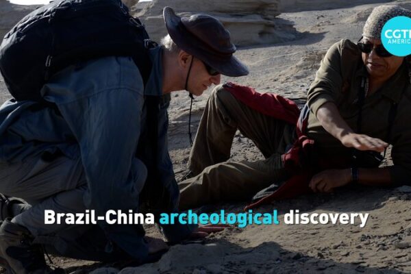 New Pterosaur Species Soars from Brazil-China Collaboration 🦖✨ New_Pterosaur_Species_Soars_from_Brazil_China_Collaboration___ video poster