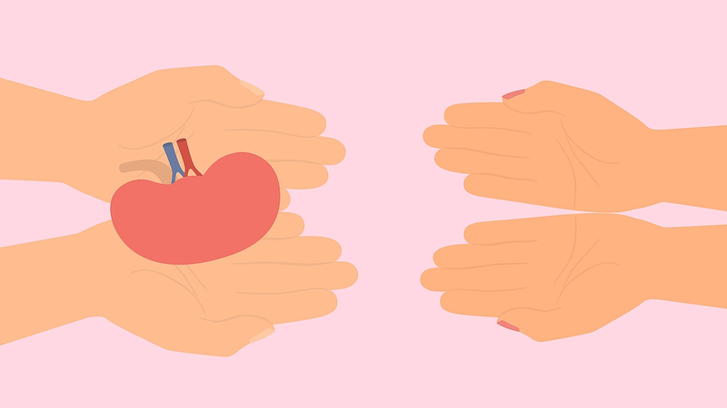 New_Study__HIV_Positive_Kidney_Transplants_Safe_and_Effective__ - News for amigos, by amigos New_Study__HIV_Positive_Kidney_Transplants_Safe_and_Effective__