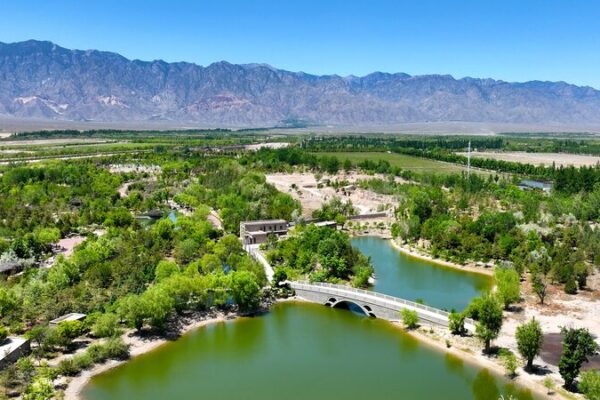 Ningxia’s Eco Revolution: Turning Deserts Green 🌿 Ningxia_s_Eco_Revolution__Turning_Deserts_Green__ video poster
