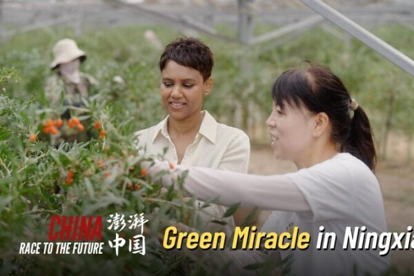 Ningxia_s_Solar_Revolution__China_s_Green_Miracle__ video poster