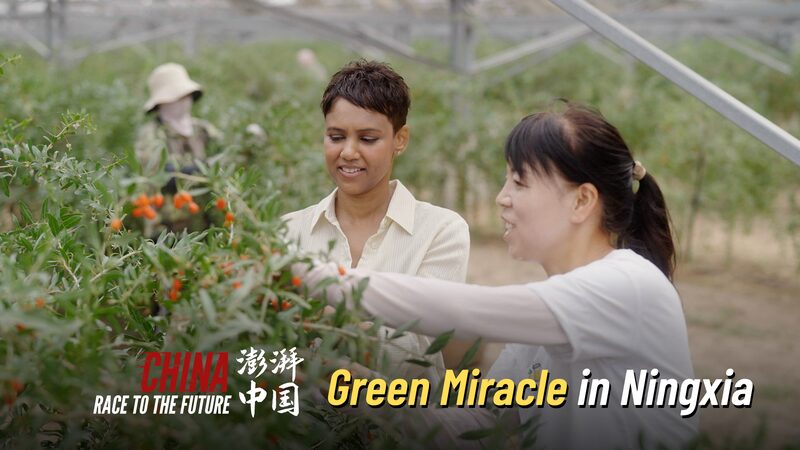 Ningxia_s_Solar_Revolution__China_s_Green_Miracle___poster - News for amigos, by amigos Ningxia_s_Solar_Revolution__China_s_Green_Miracle__ video poster