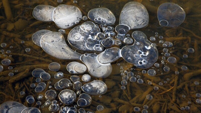 Oops__Methane_s_On_the_Move__Greenhouse_Gas_Rising_Faster_Than_Ever____