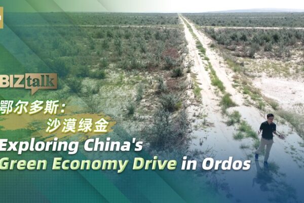 Ordos Turns Deserts Green: Sea Buckthorn & Hi-Tech Farming 🌿 Ordos_Turns_Deserts_Green__Sea_Buckthorn___Hi_Tech_Farming__ video poster
