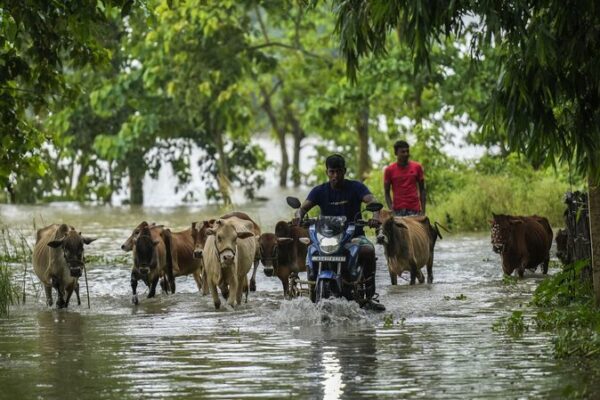 Over_1_Million_Impacted_by_Assam_Floods_in_India____Death_Toll_Reaches_38