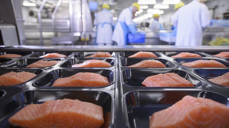 Over_3_600_Food_Packaging_Chemicals_Found_in_Our_Bodies___What_s_Going_On_ - News for amigos, by amigos __Over_3_600_Food_Packaging_Chemicals_Found_in_Our_Bodies___What_s_Going_On_